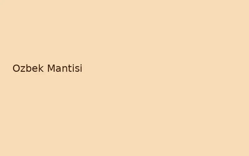 Özbek Mantısı